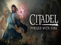 Trucos de Citadel: Forged With Fire para PC