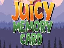 Logros y Trofeos de Juicy Memory Card
