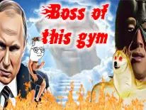 Logros y Trofeos de Boss of this gym