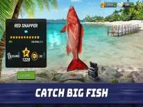 Trucos de Fishing Clash para Android e iPhone