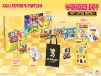 Trucos de Wonder Boy Anniversary Collection para PS4, PS5 e Switch